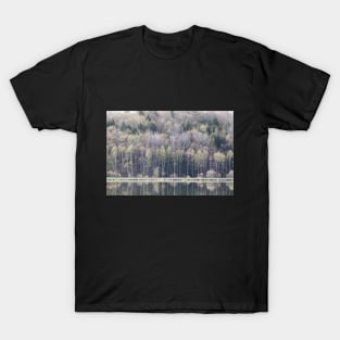 Spring Vista T-Shirt